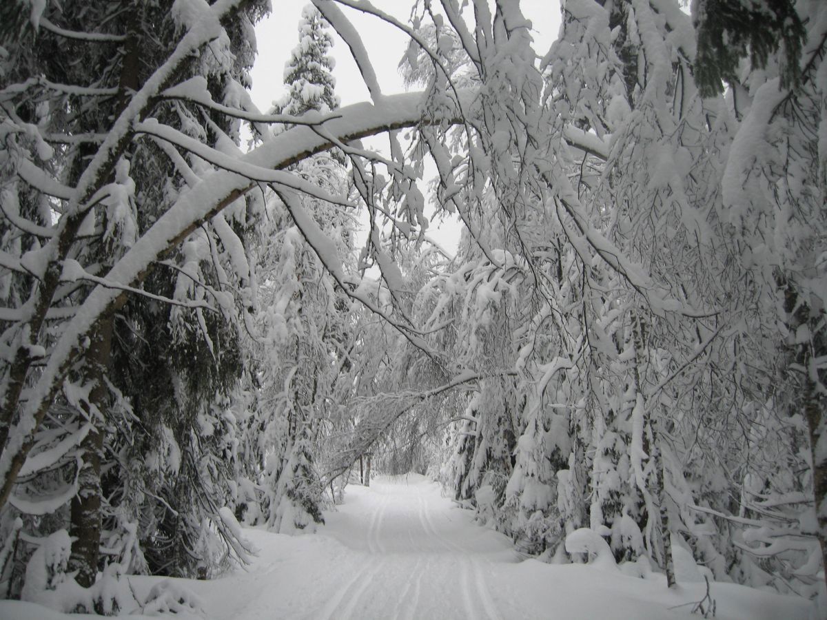 I ubrukte spor mellom Bjordammen og Nordmarkskapellet