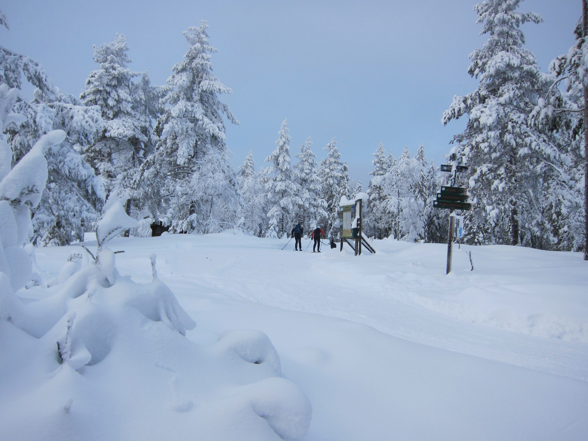 I vinterlandskap ved Rørmyra