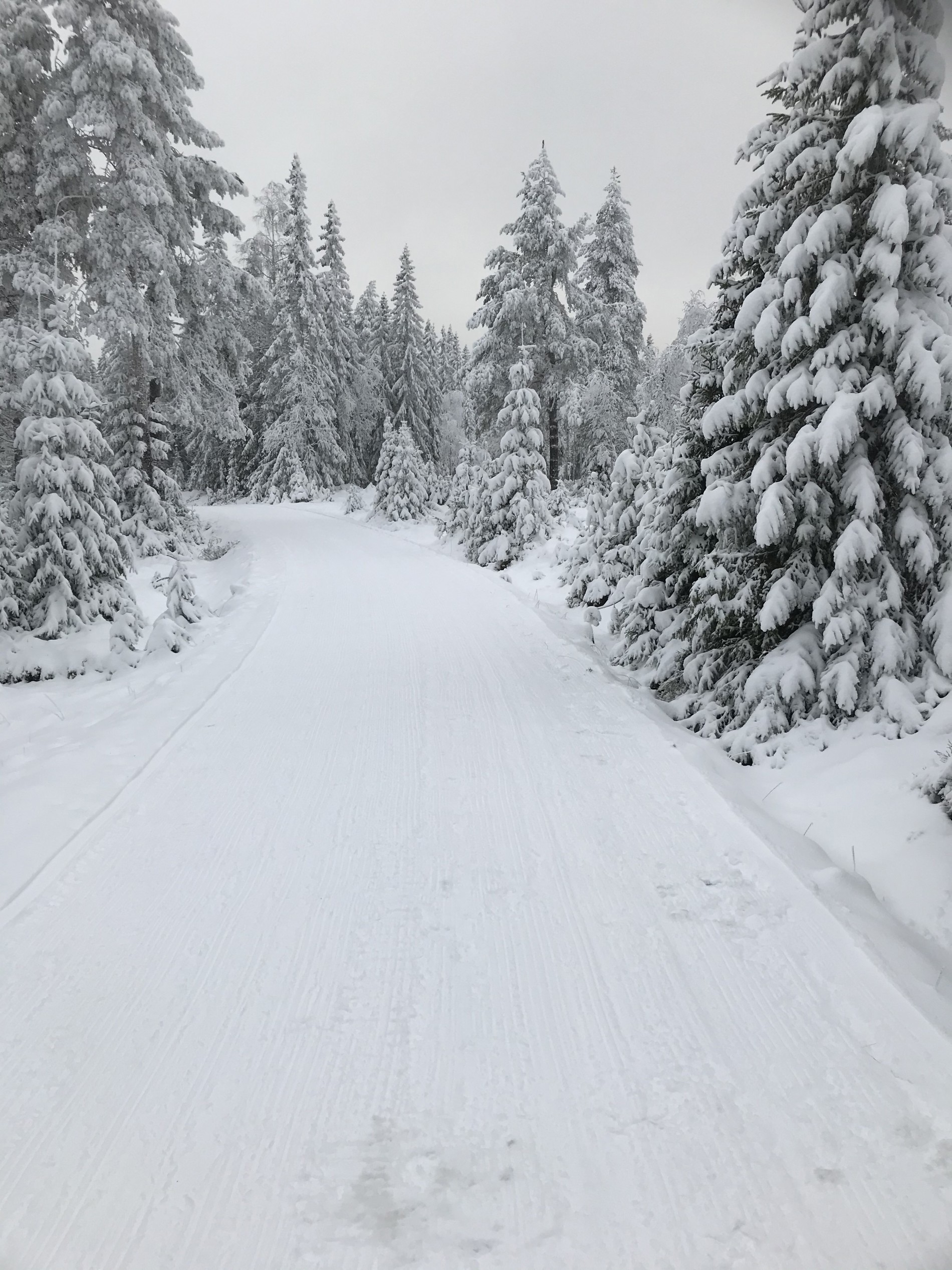Idyllisk innover fra Rørmyra
