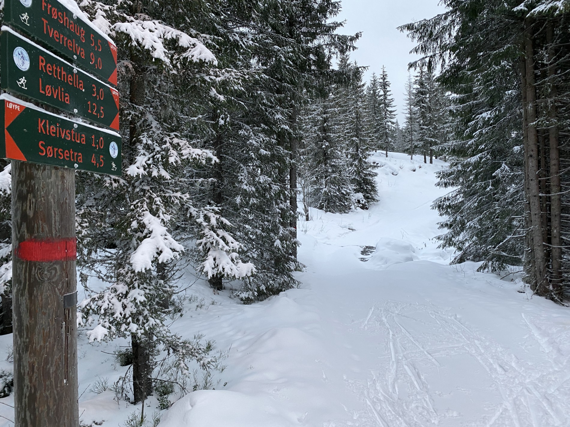 Ikke alt er kjørt – lite snø i terrenget