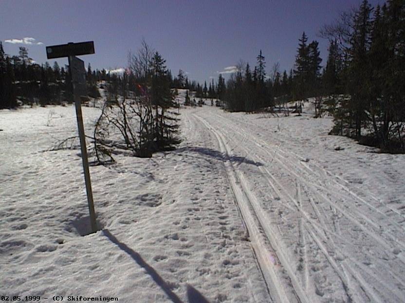 Ikke langt fra Femputtene på Ringkollen