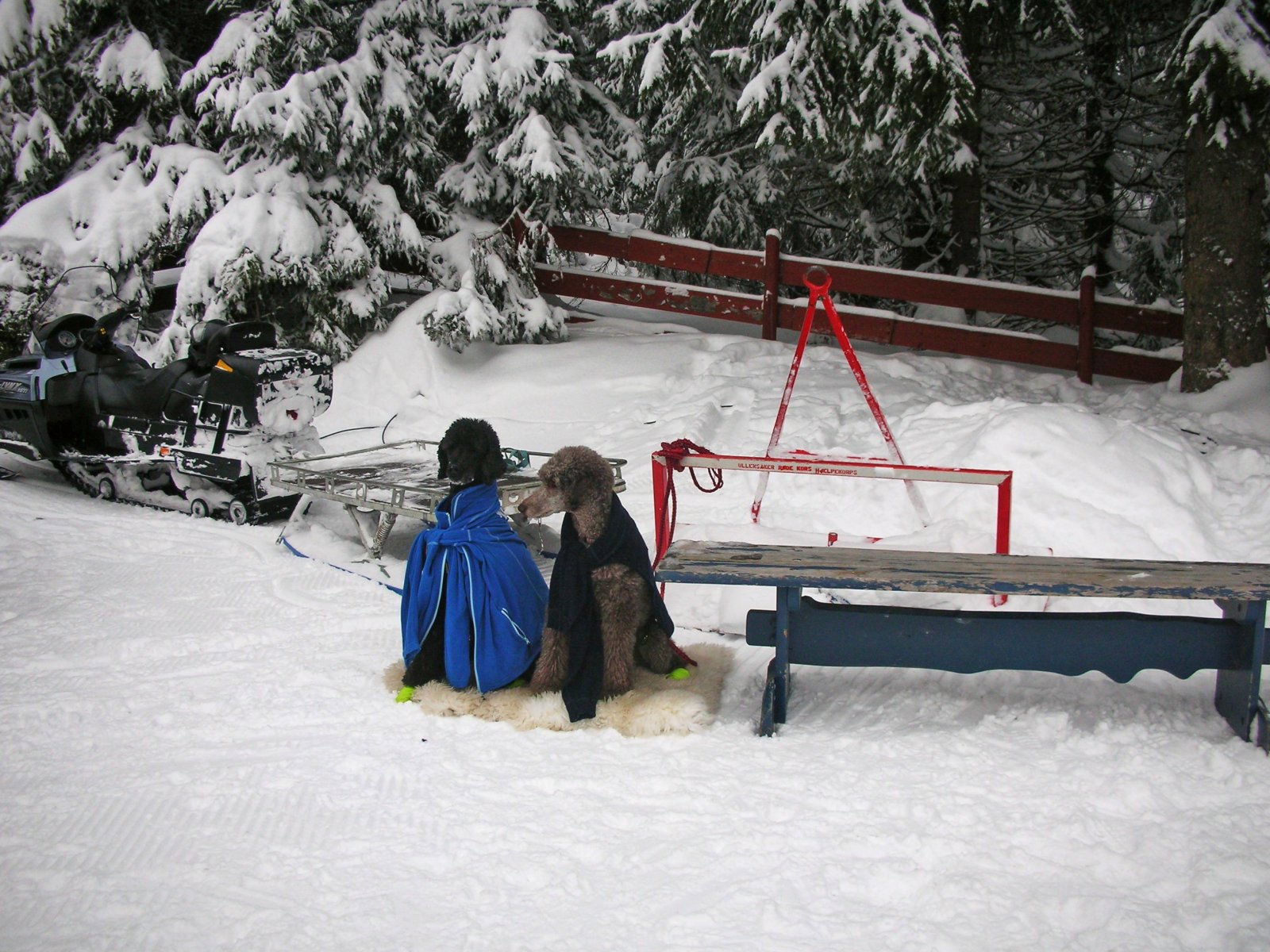 Ingen sak å vente utenfor Råsjøstua