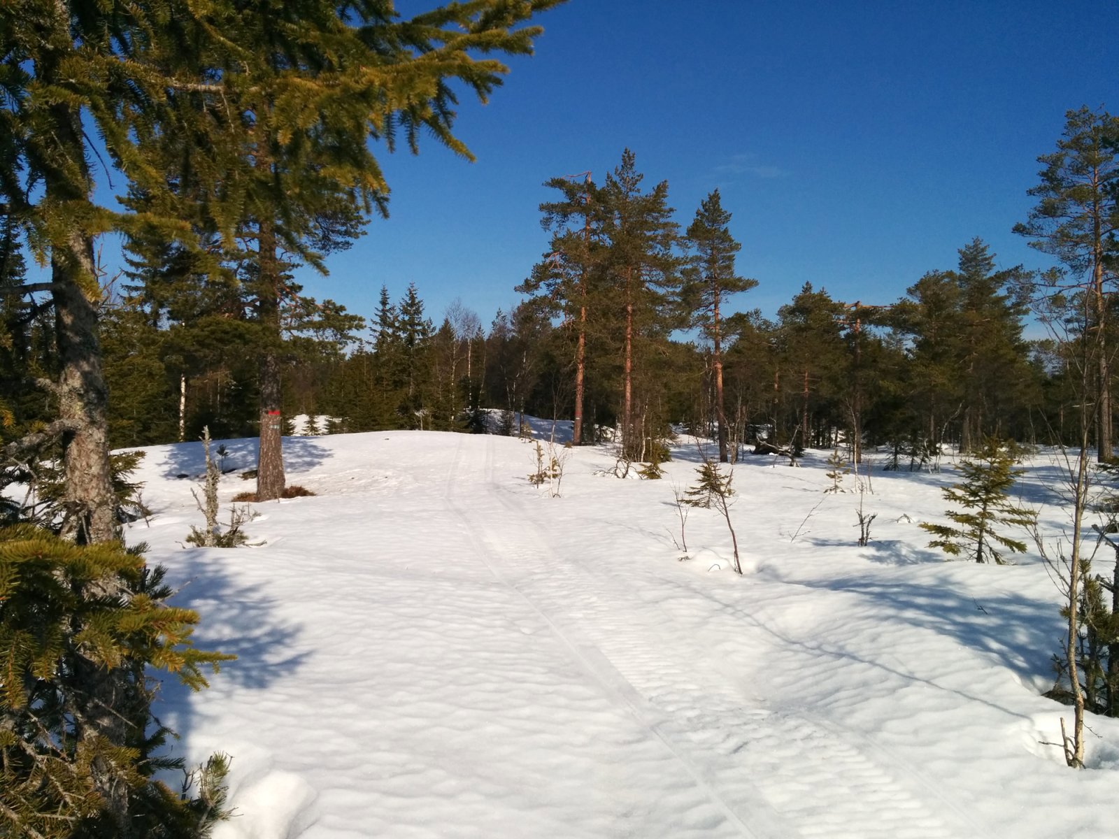 Ingjerdsbrenna i flott morgensol
