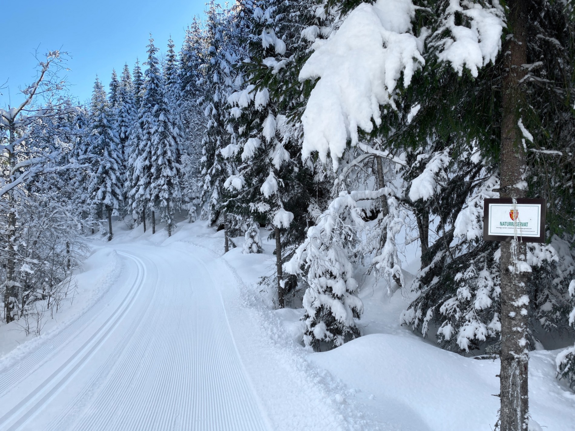 Inn i naturreservatet