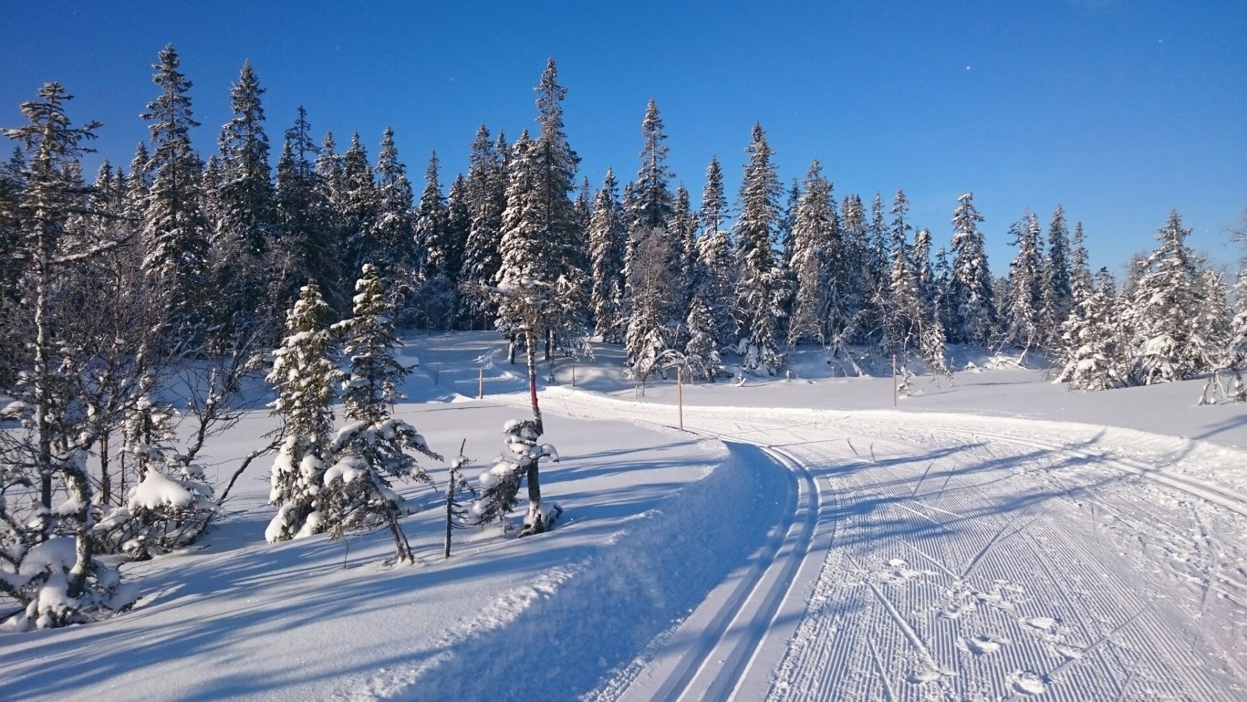 Innbydende over Lustjernsmyrene