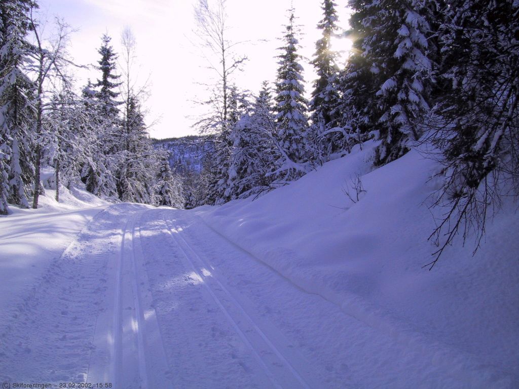 Innbydende spor ved Haukåsen
