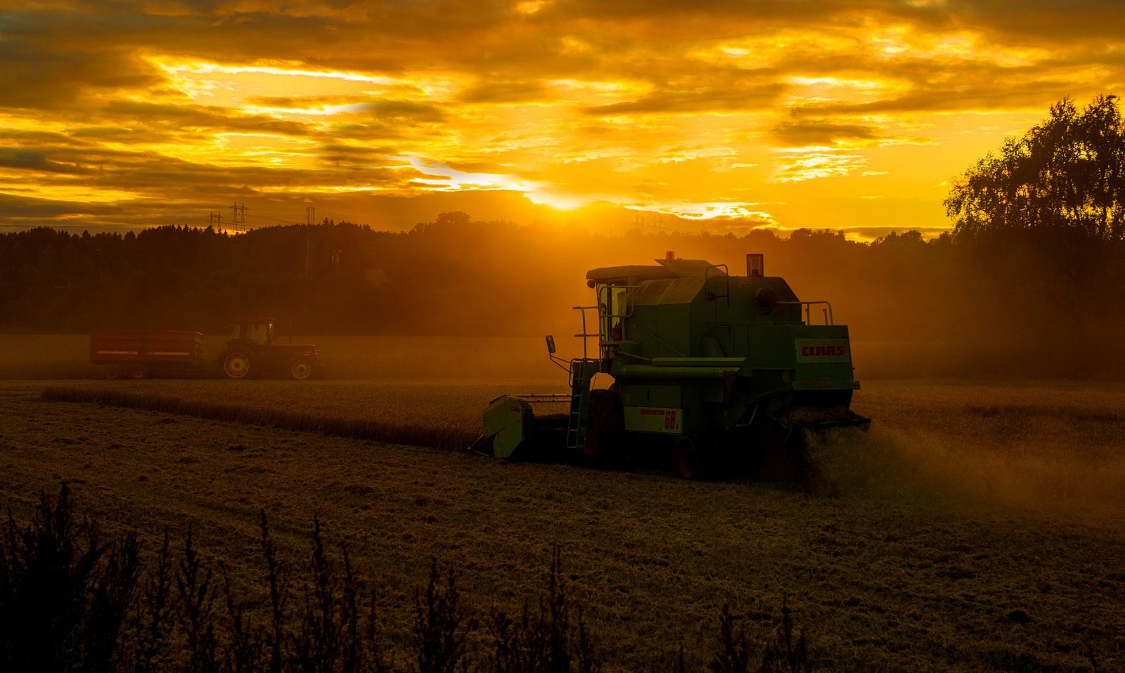 Innhøsting i solnedgang