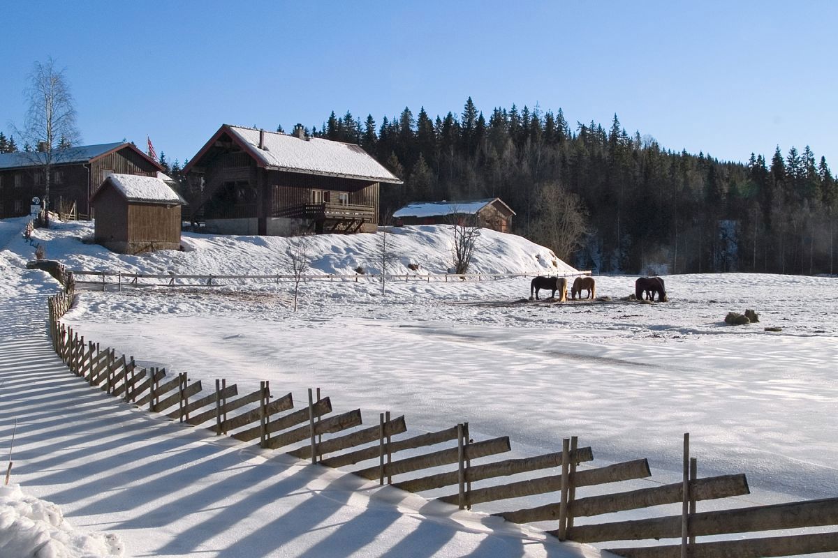 Januaridyll ved Langebru