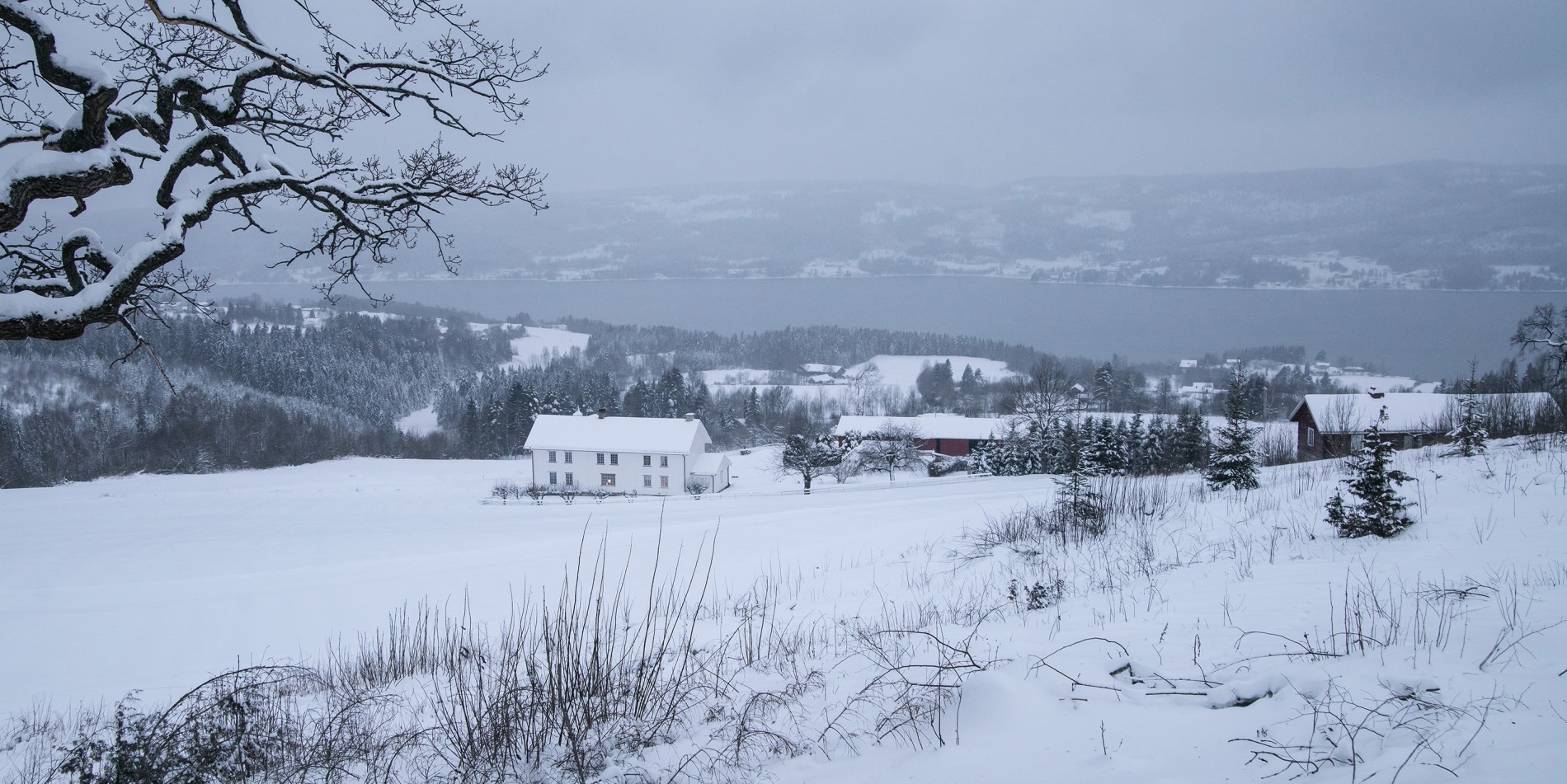 Januarkveld ved Klæstad