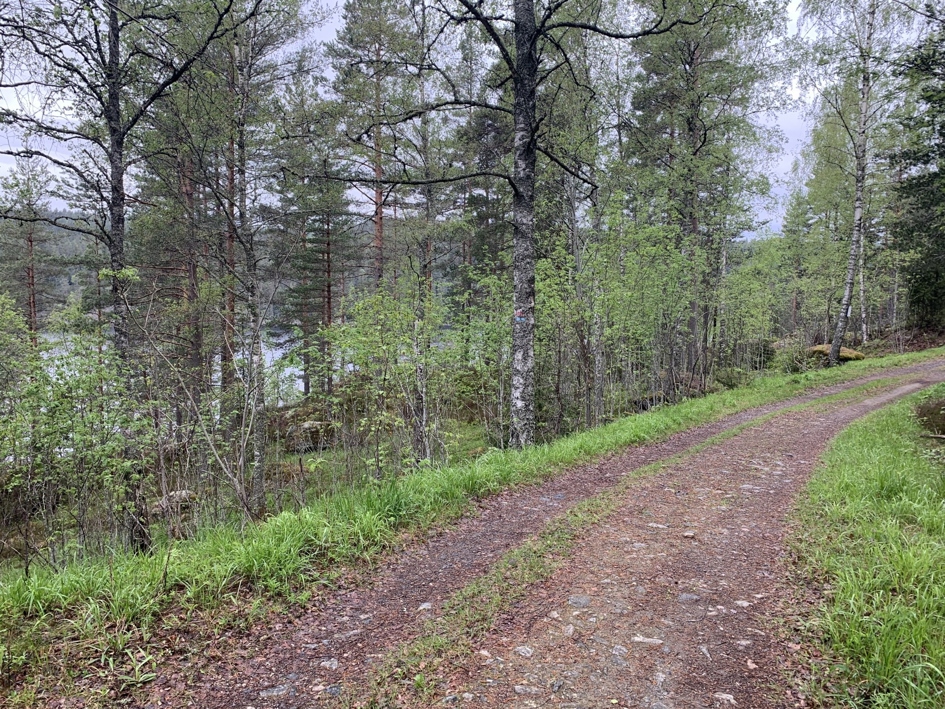 Jo nærmere Mariholtet - jo finer vei