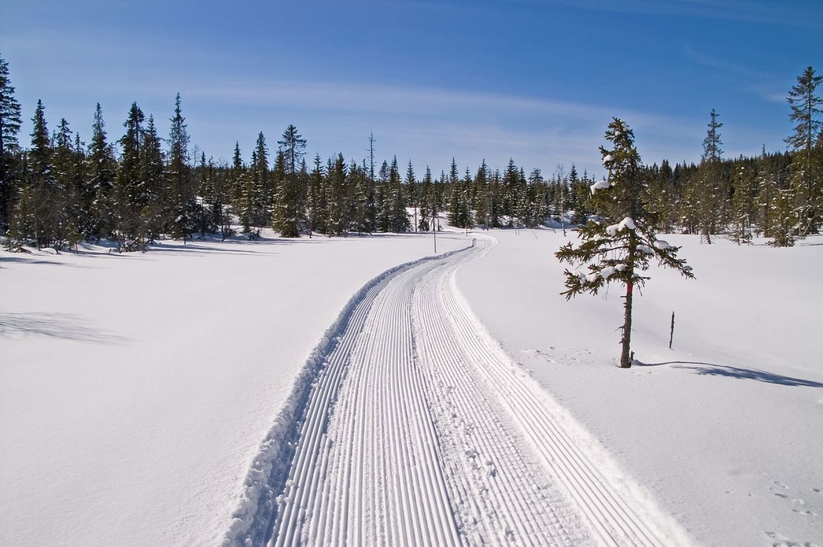 Jomfruelig scootertrase ved Snutetjernet