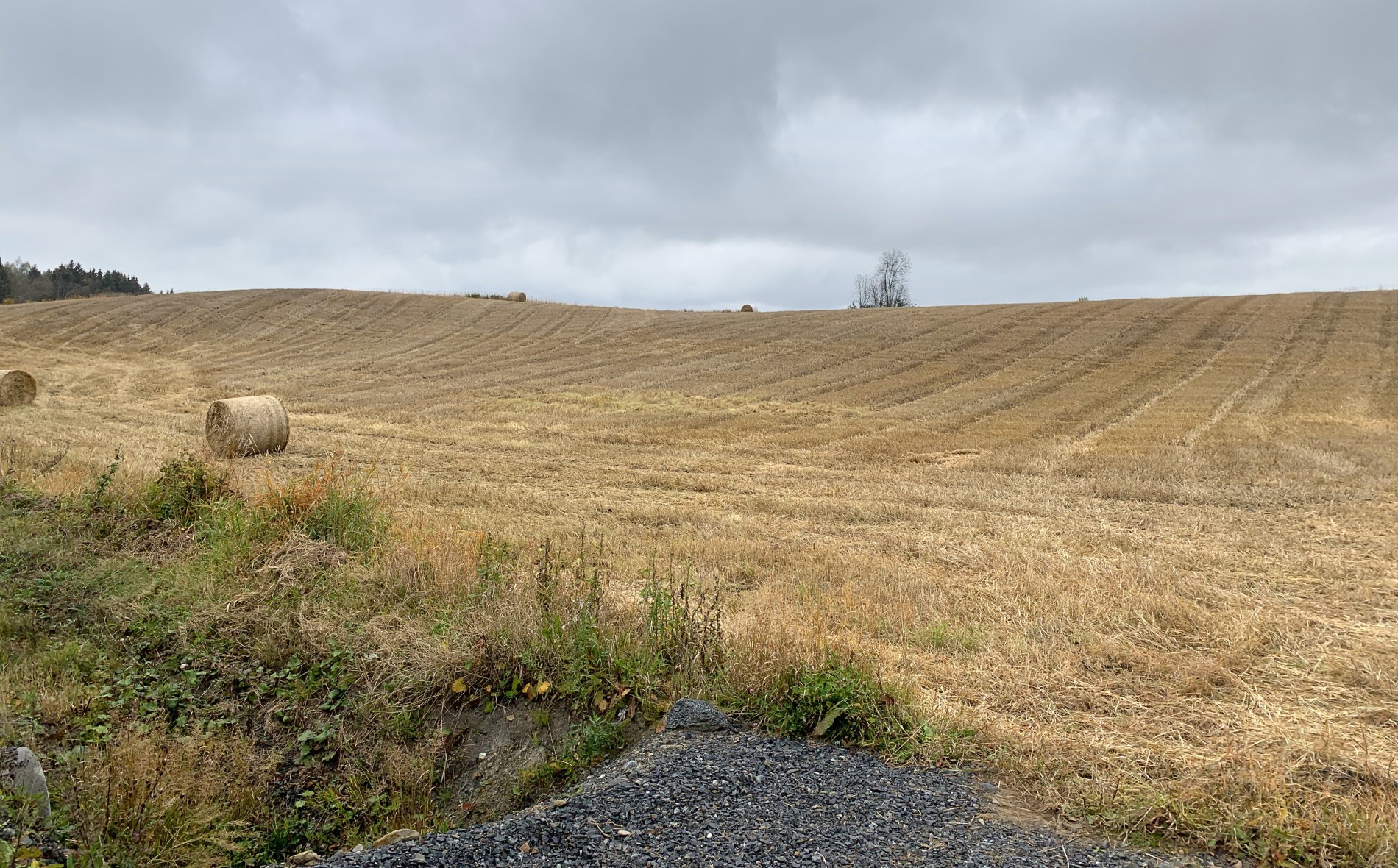 Jordet øst før Skytebanen