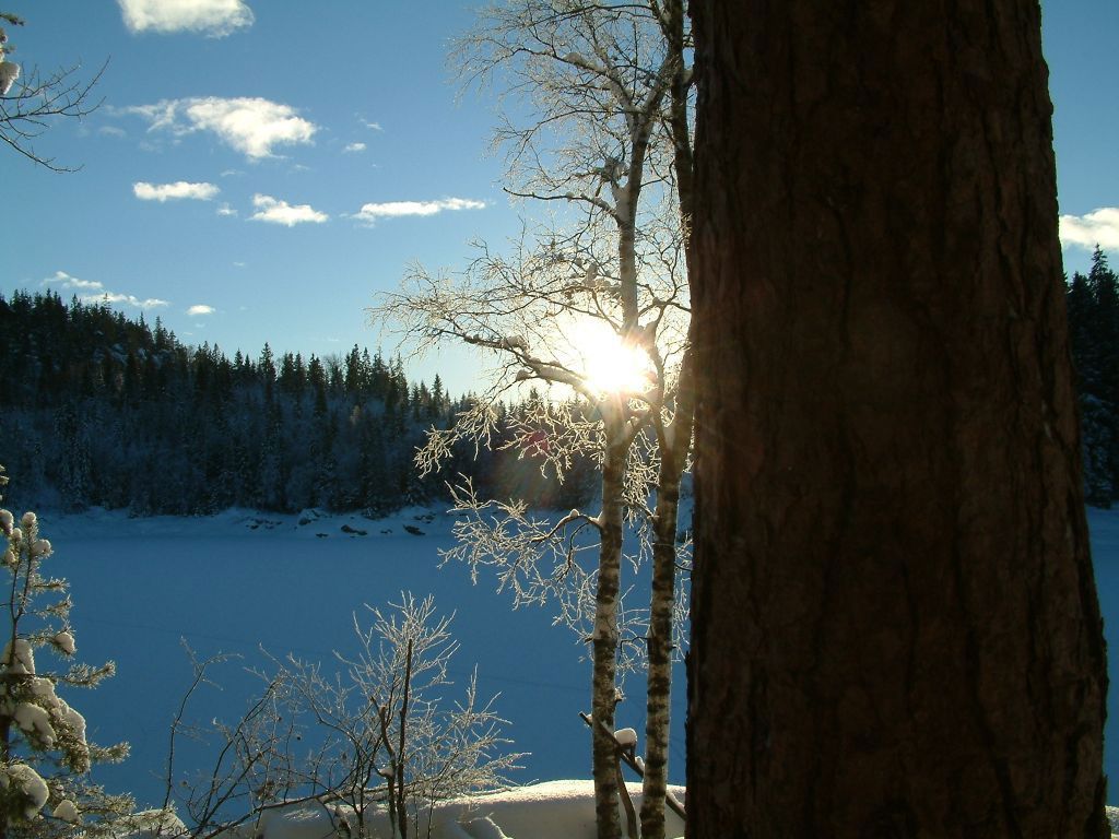 Jul ved Dretvann