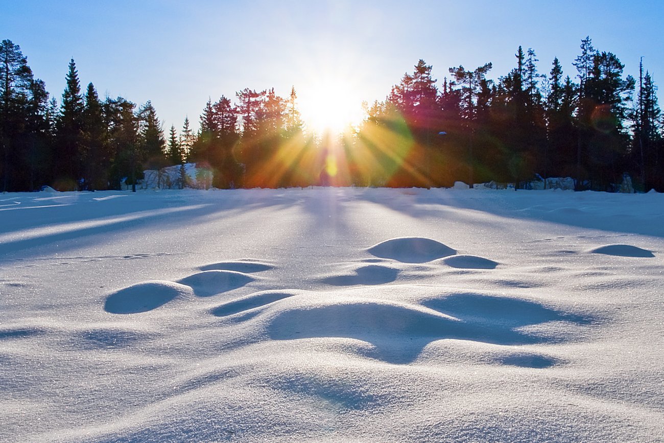 Julaften på Krokskogen