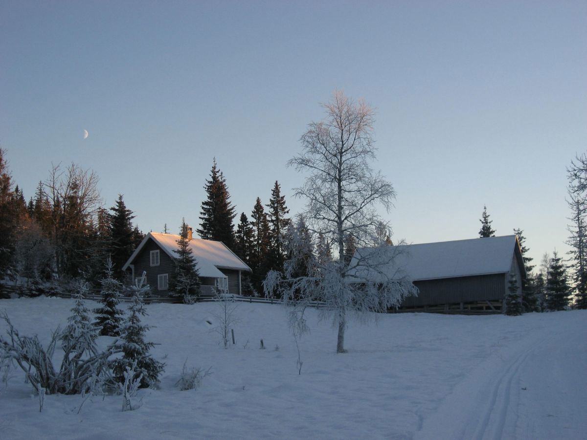 Julekort fra Holoaseter