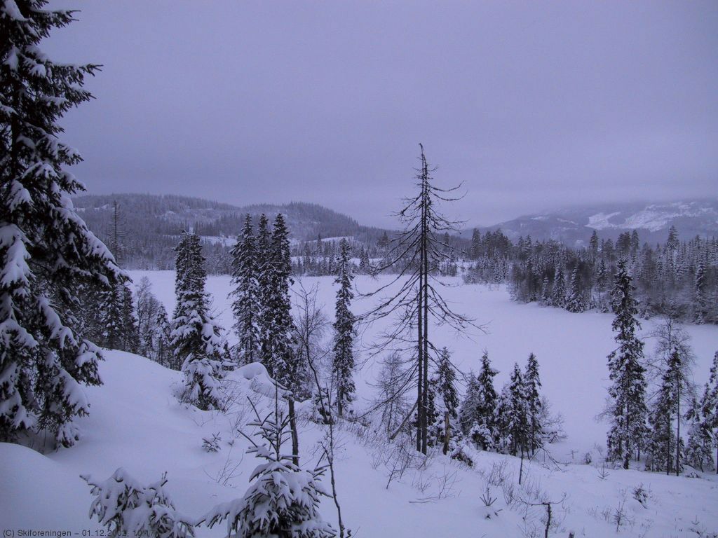 Julestemning i Osmarka