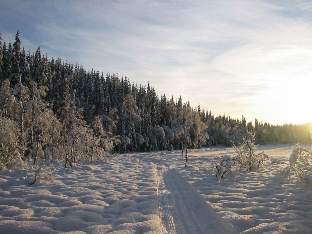 Julestemning ved Auretjern