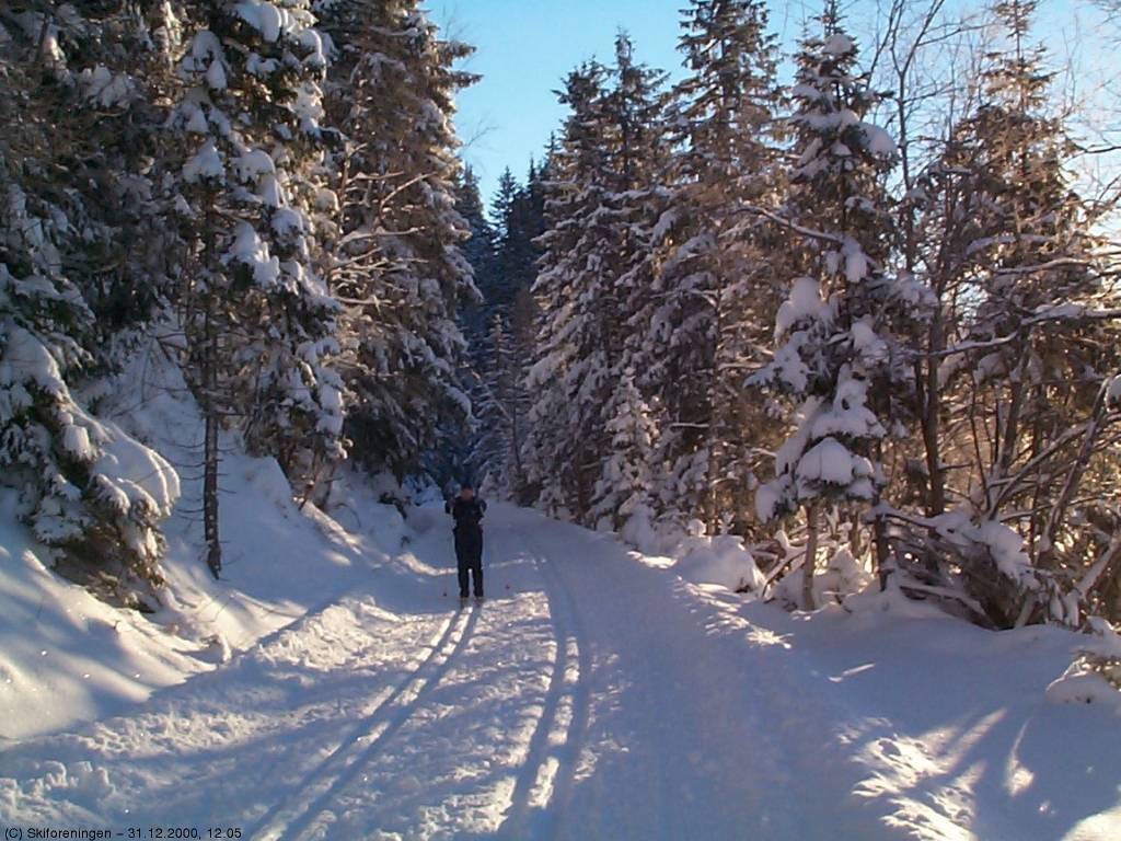 Julestemning ved Elsjøene - #1
