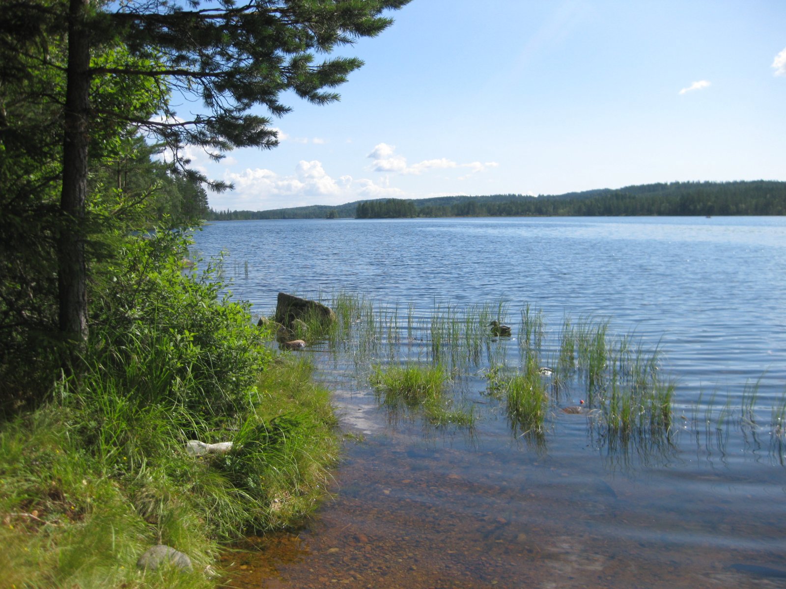 Julidag ved Storøyungen