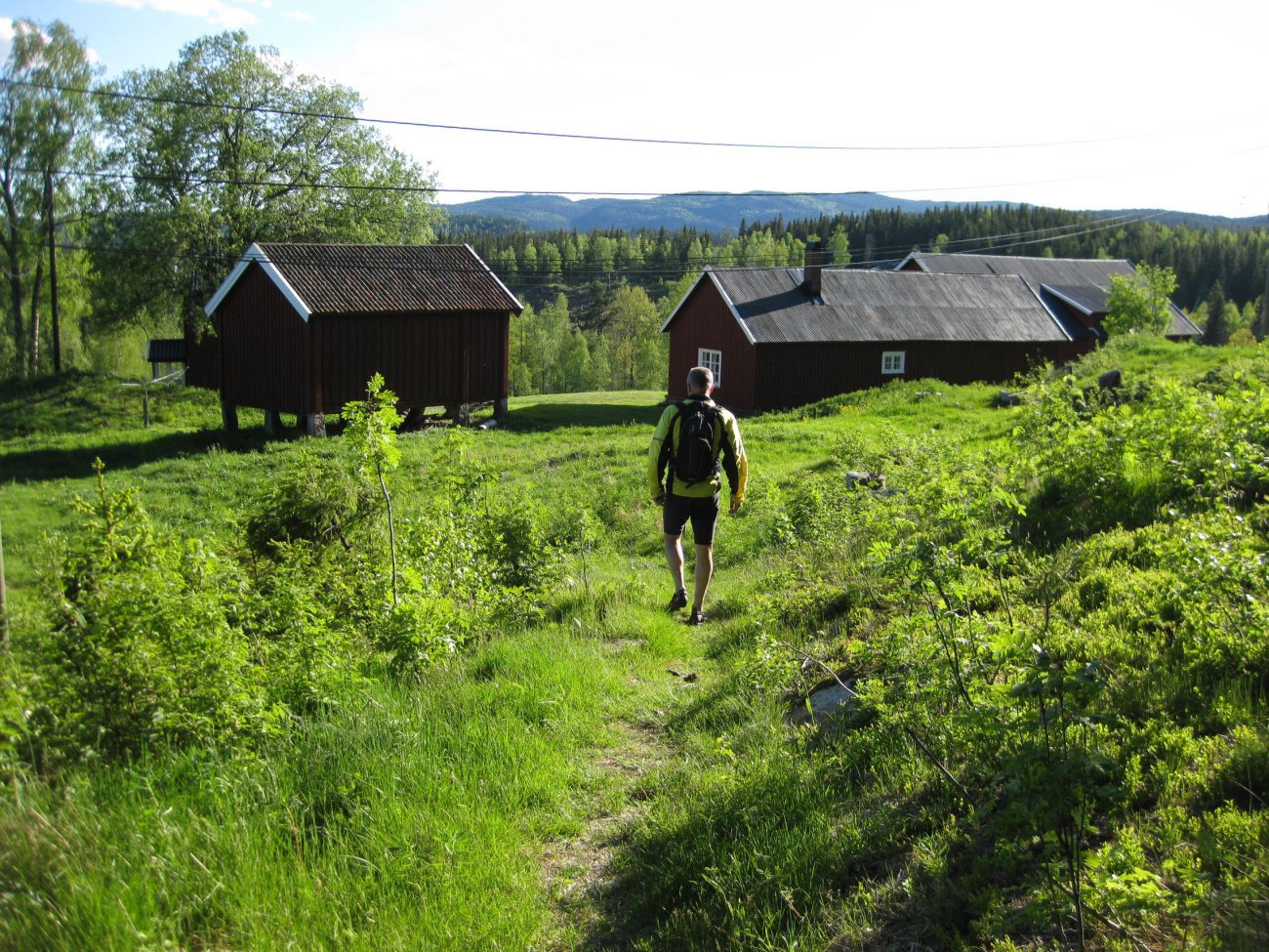 Junikveld på Sandungen gård