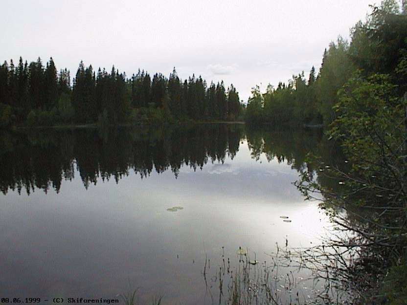 Junikveld v. Bjordammen