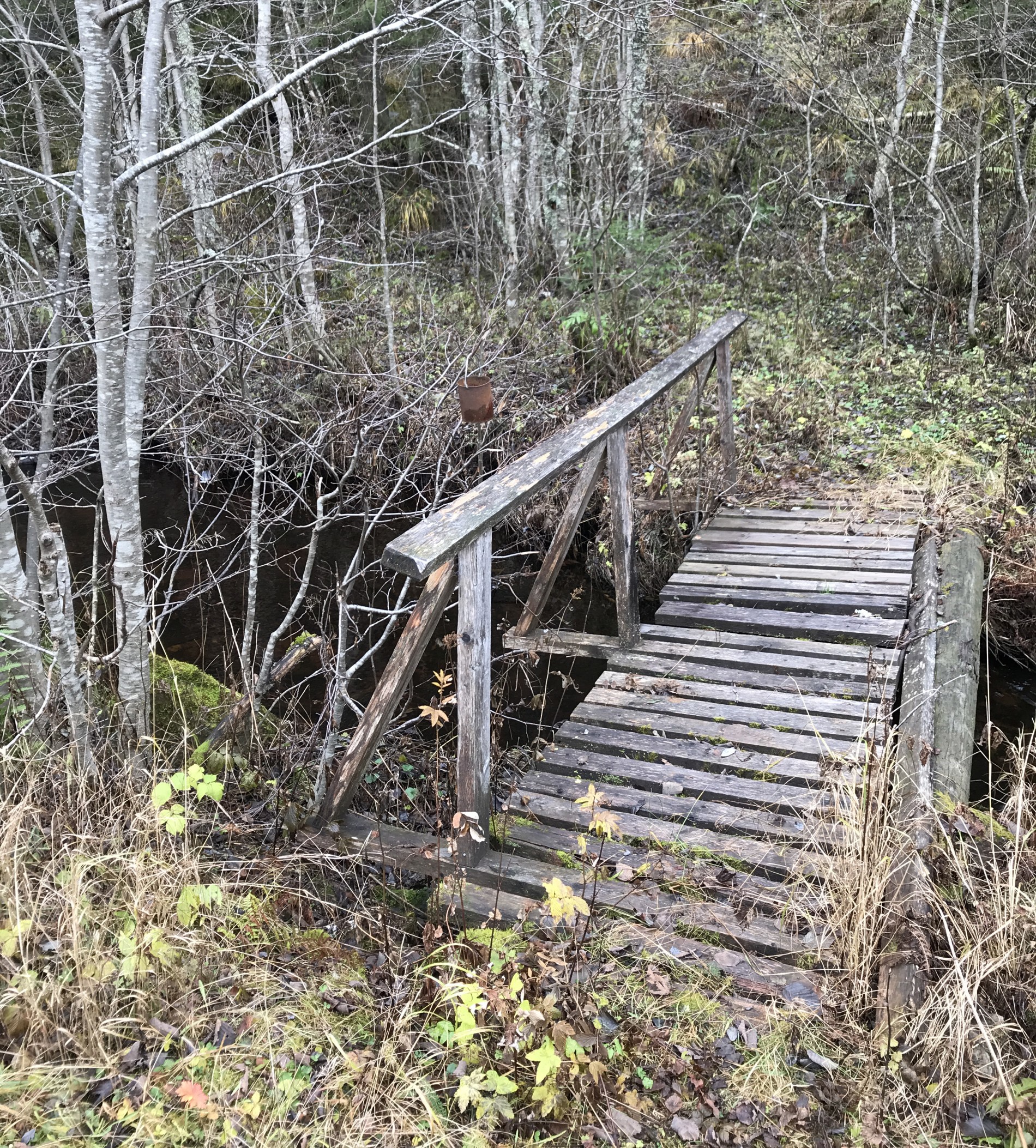 Kaffeboks ved gangbru i Homledalen