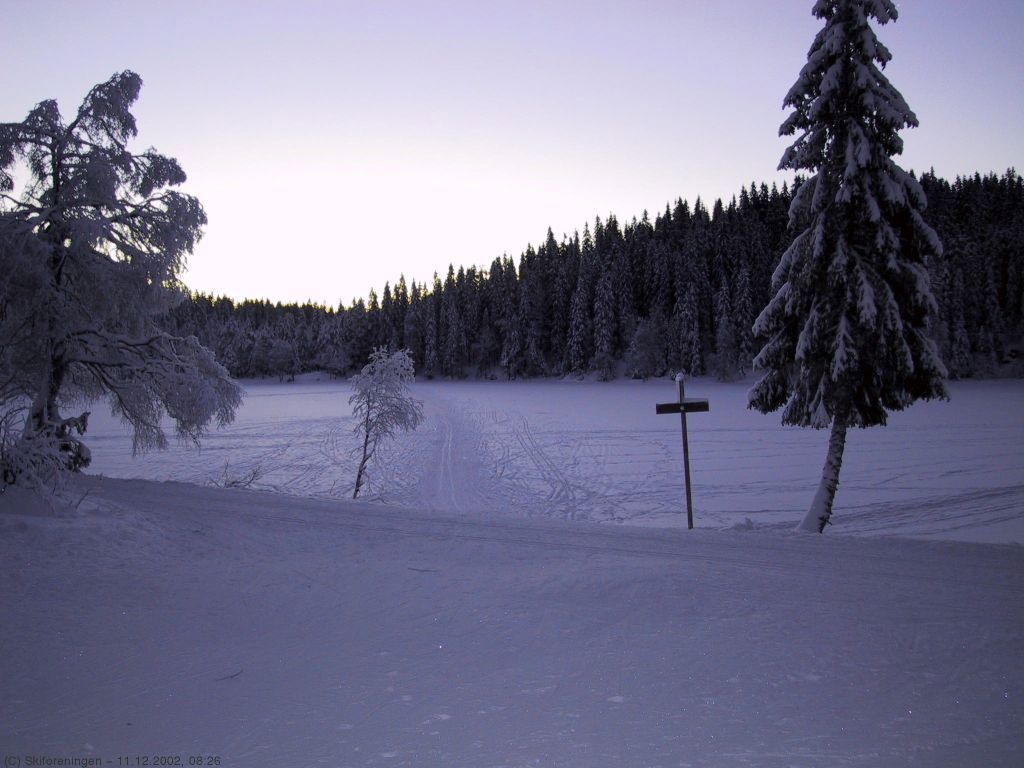 Kald morgen over Skjennungen