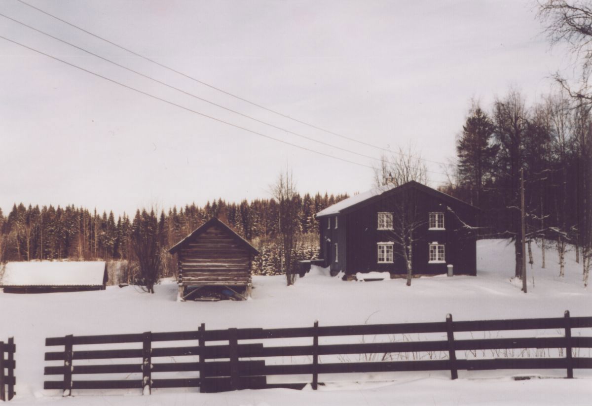 Kald vinterdag på Rognlia