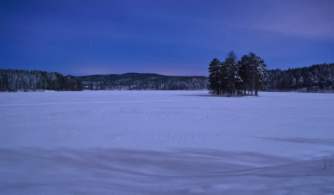 Kaldt, blått, måneskinn, vakkert
