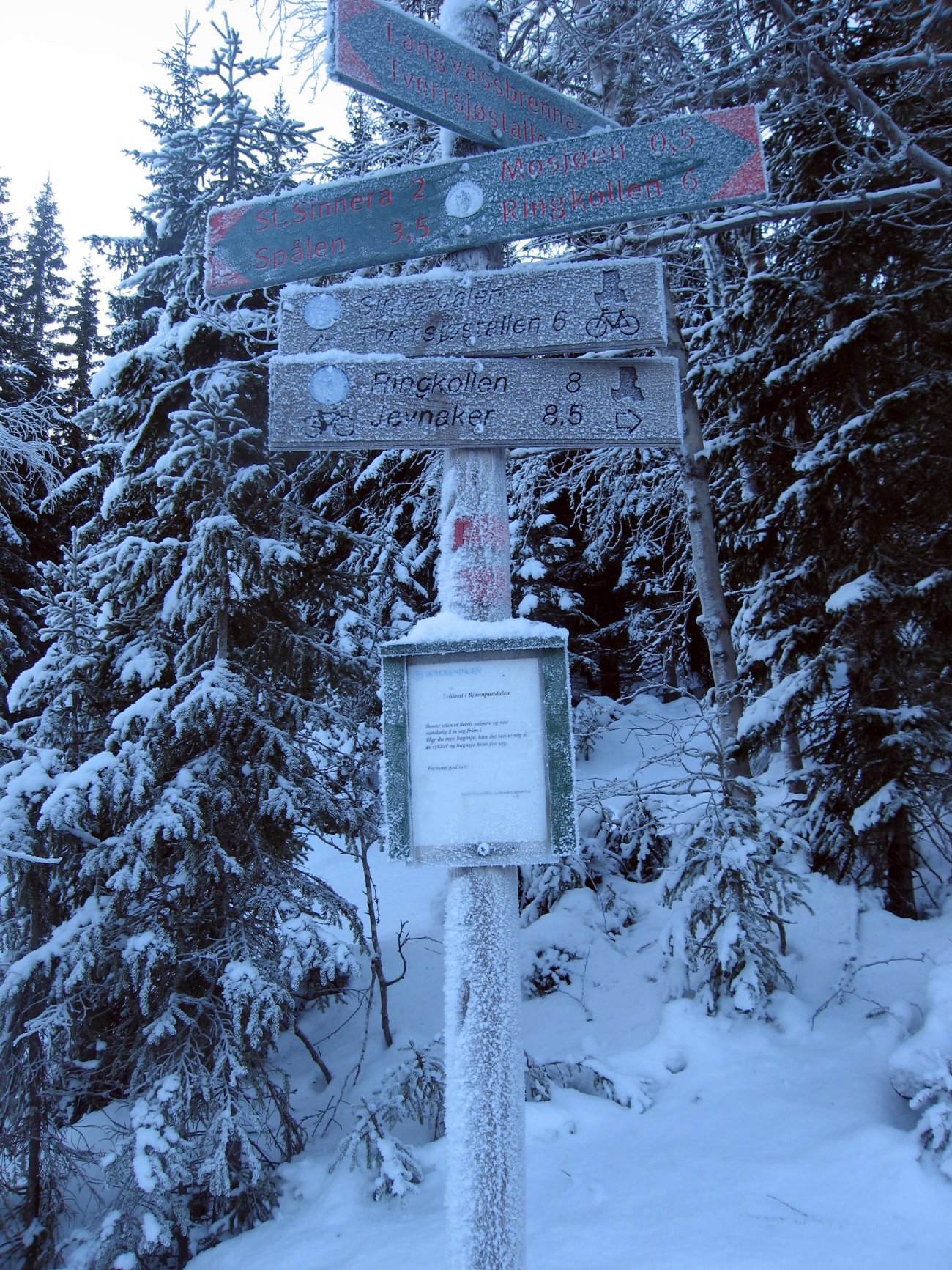 Kaldt ved inngangen til Bjønnputtdalen