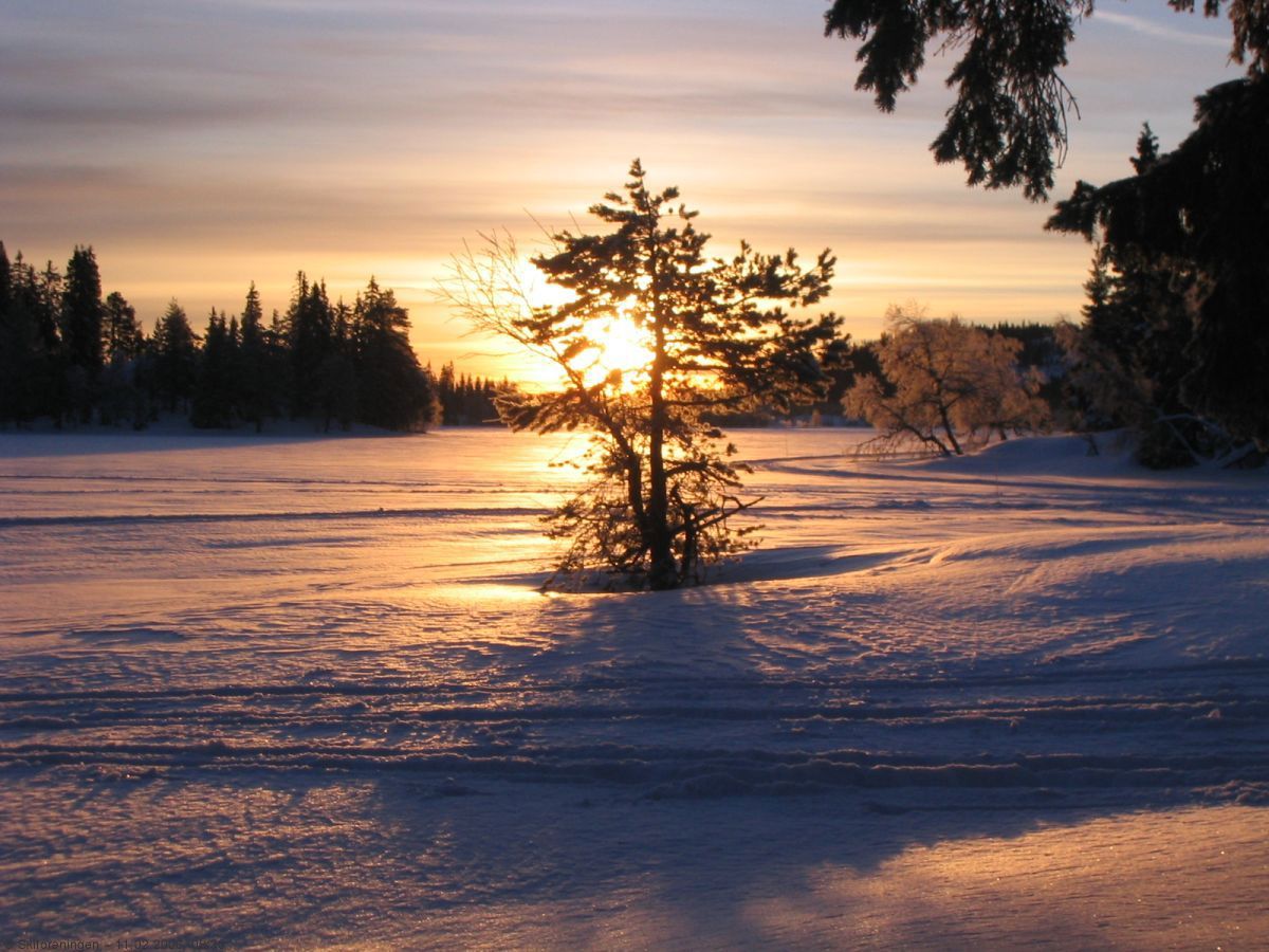 Kaldt ved Jonsetangen