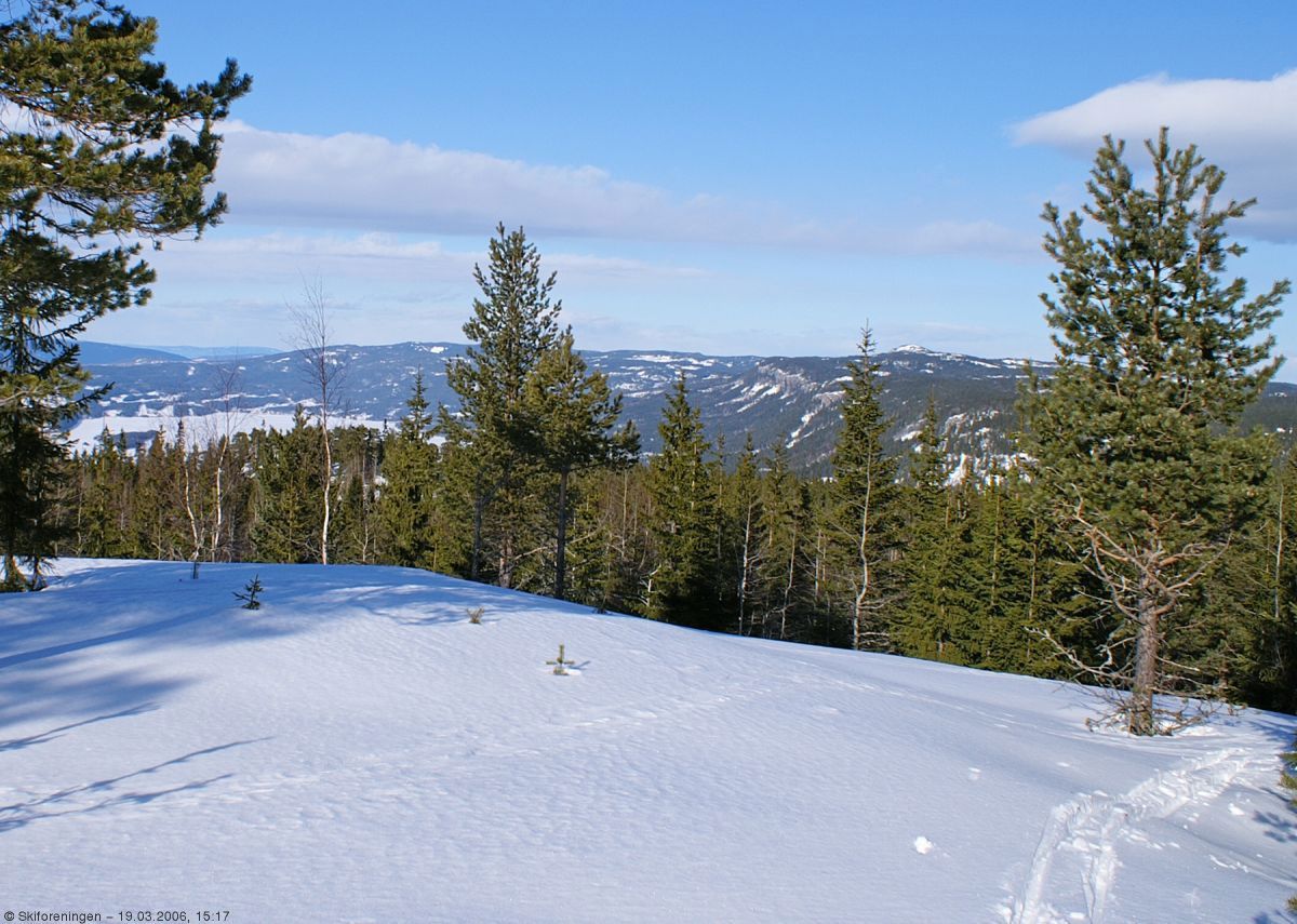 Kan du skimte Gyrihaugen?