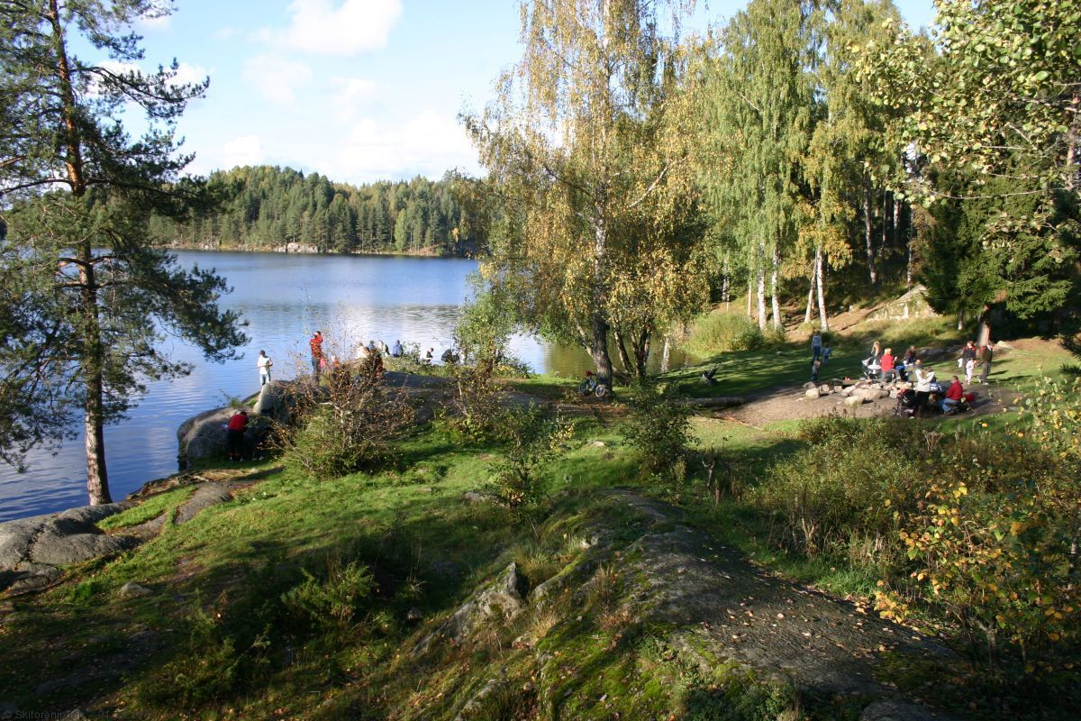 Kattisa - et fint møtested