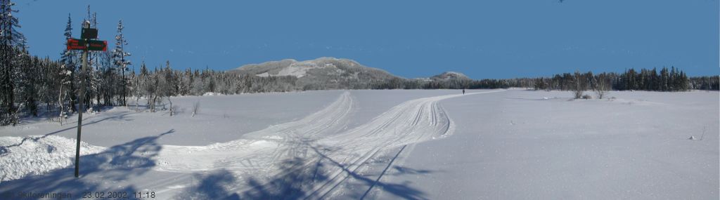 Kikutmassivet i panoramaperspektiv