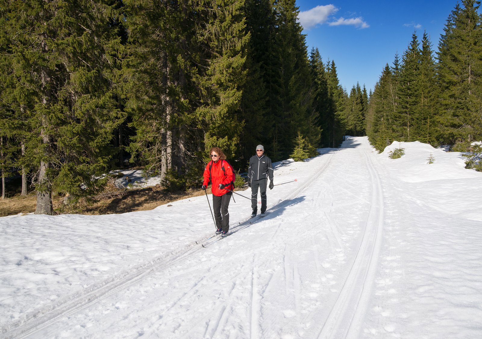 Kjempefint på veien langs Mylla