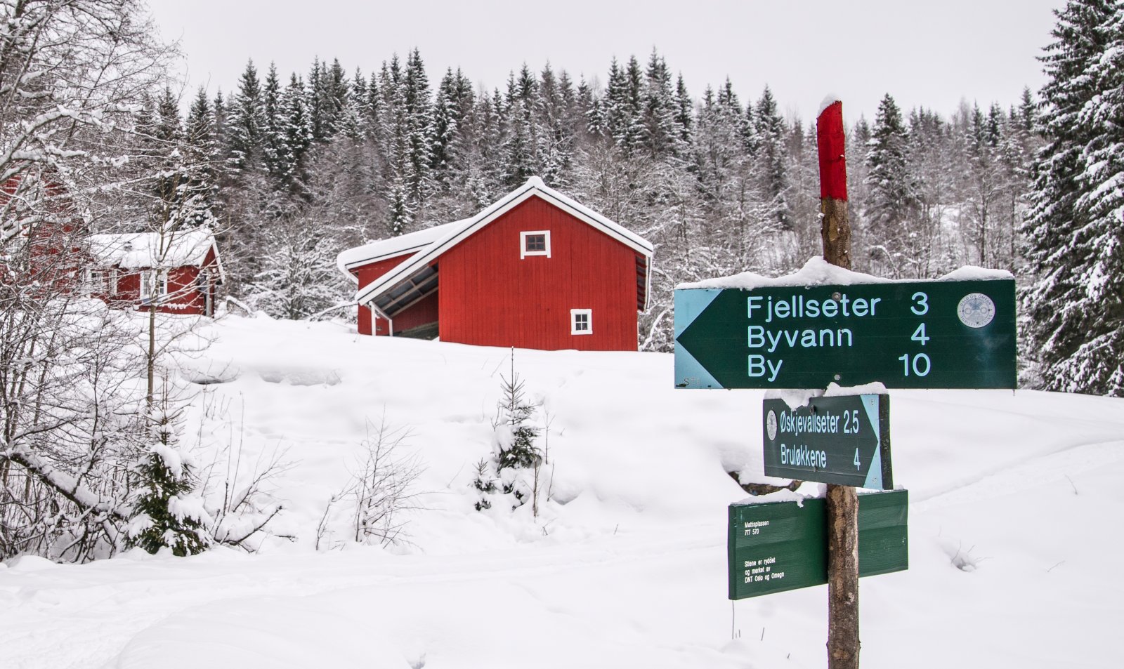 Kjente krokskogsteder