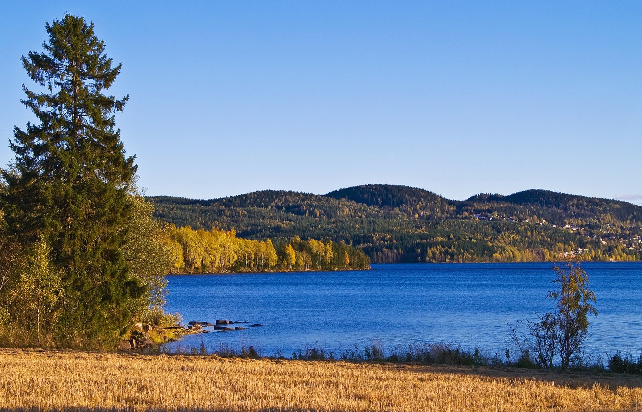 Klar blåfarge på Maridalsvannet