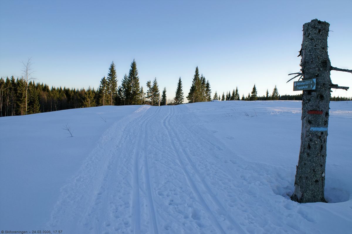 Klar ettermiddag i løypene ved Kirkebyvangen