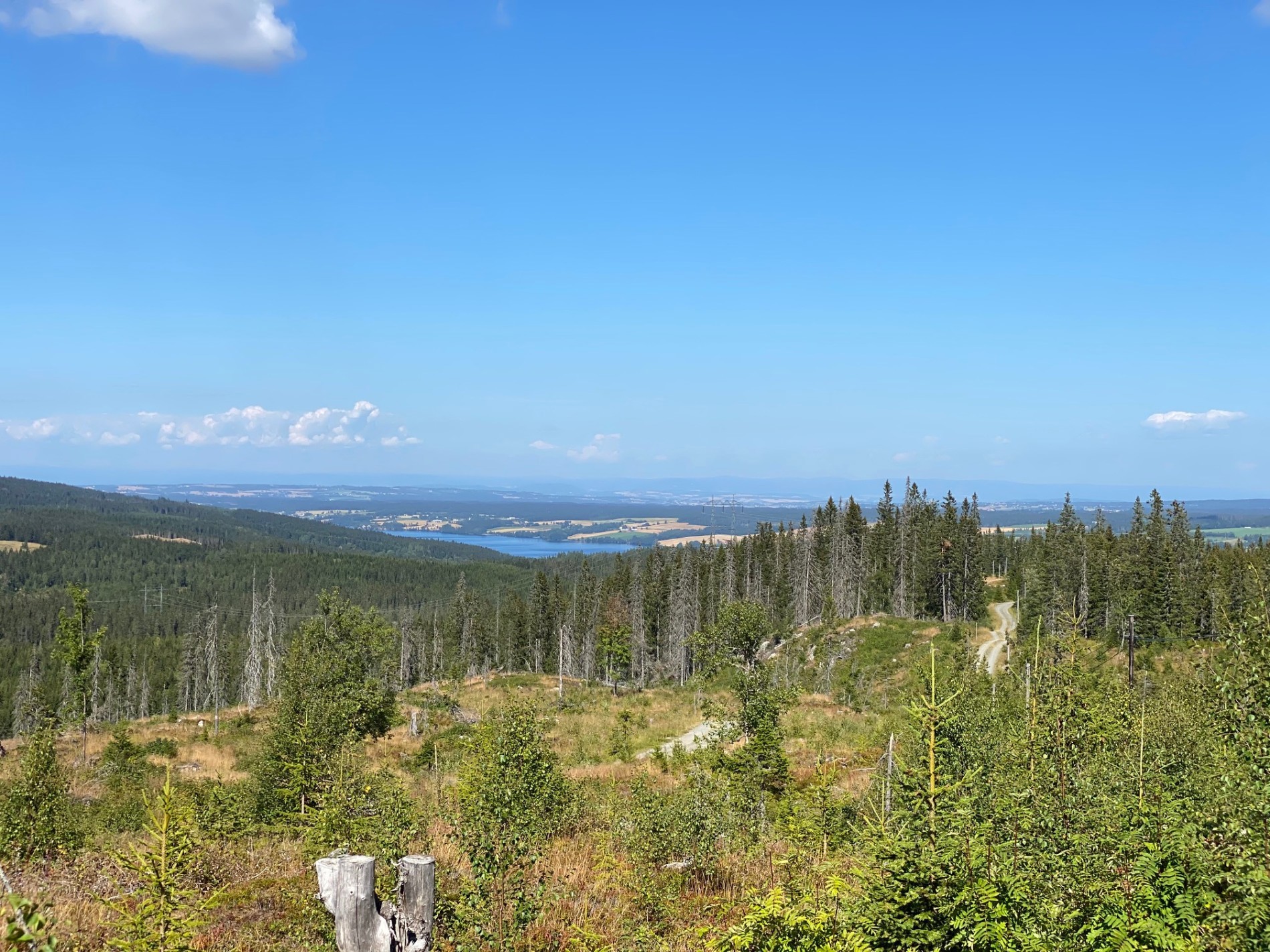 Klar utsikt mot Einafjorden
