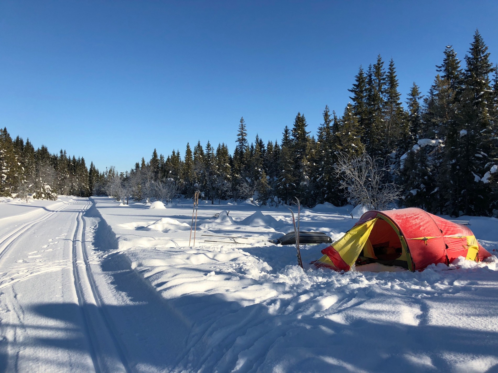 Klarvær og flotte løyper
