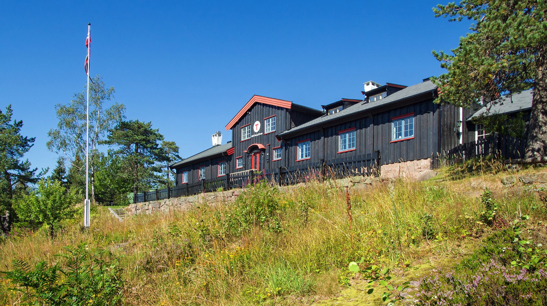 Kobberhaughytta i sensommerdrakt