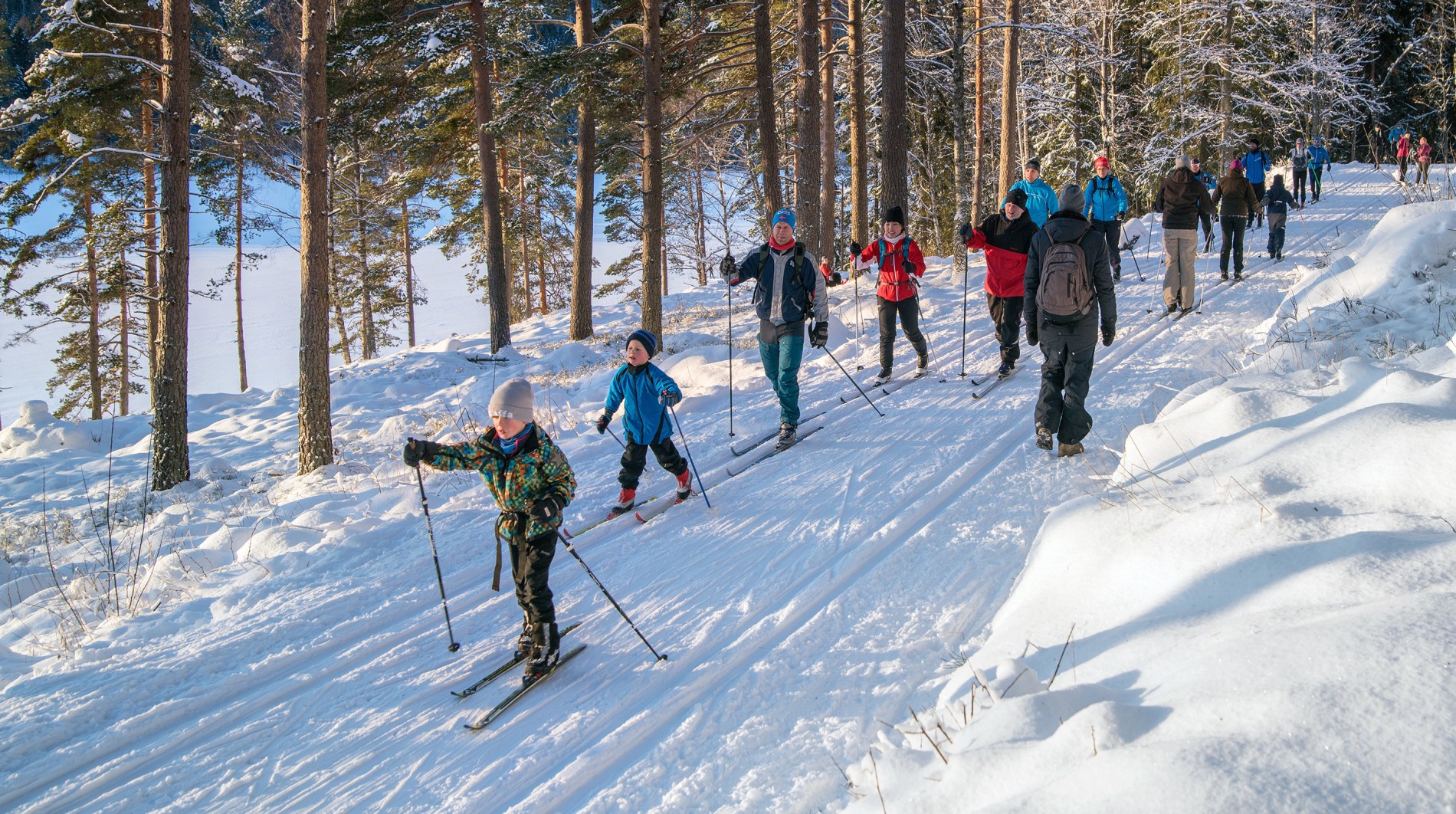 Køgåing langs Sognsvann