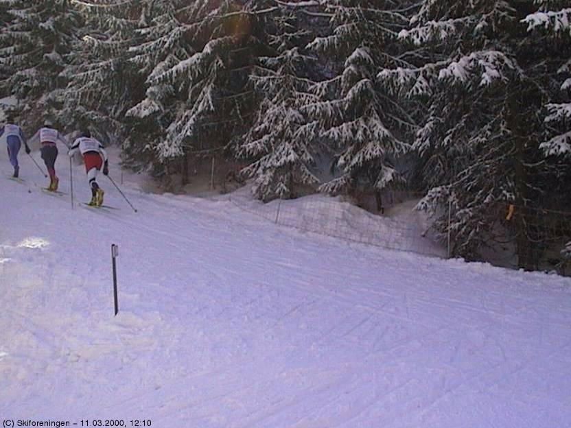 Kollen veteraner på parademarsj i 50km traseen