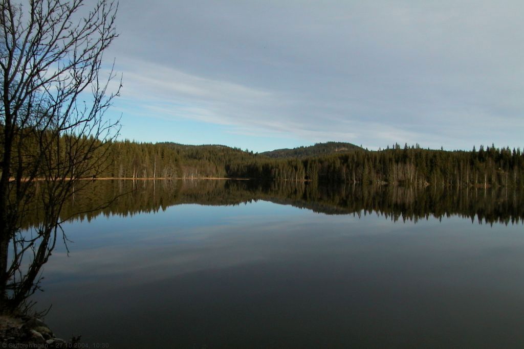 Kringla i sen oktobersol