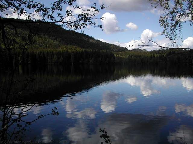 Kringla i sommerdrakt