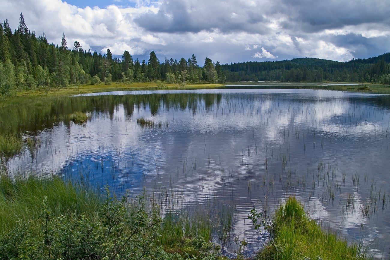 Krusninger på Fagervann