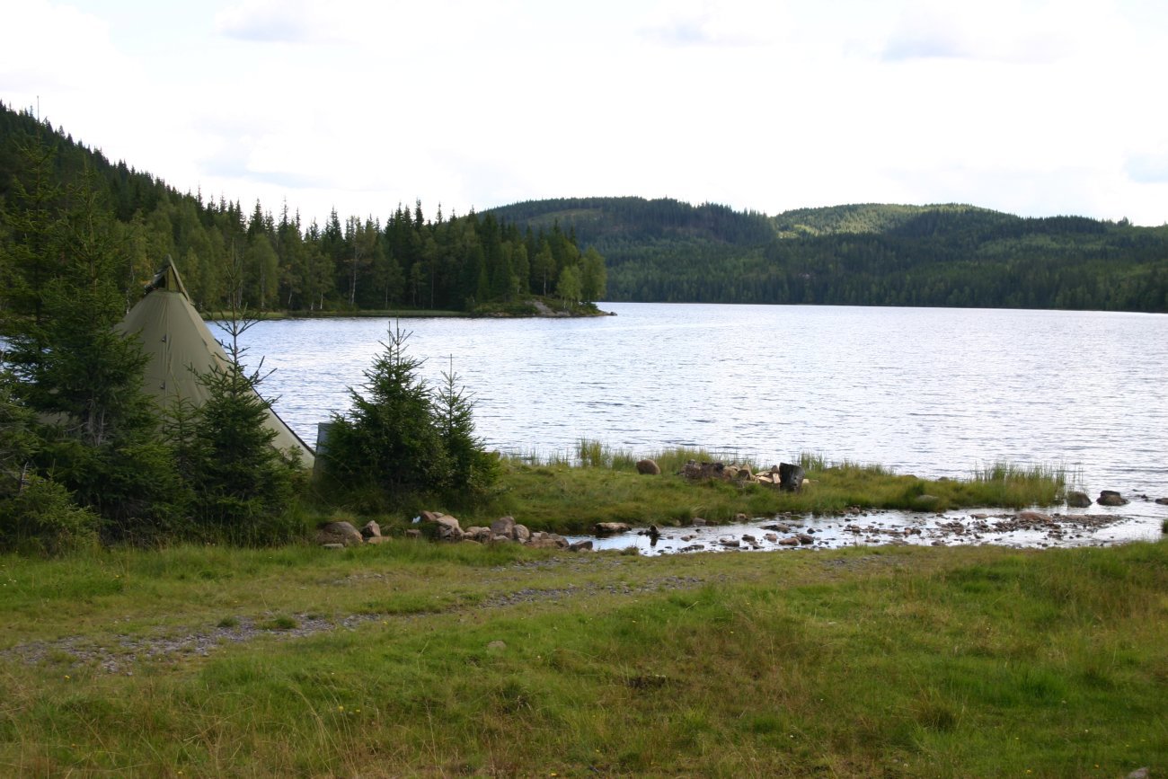 Krypinn ved Råsjøen