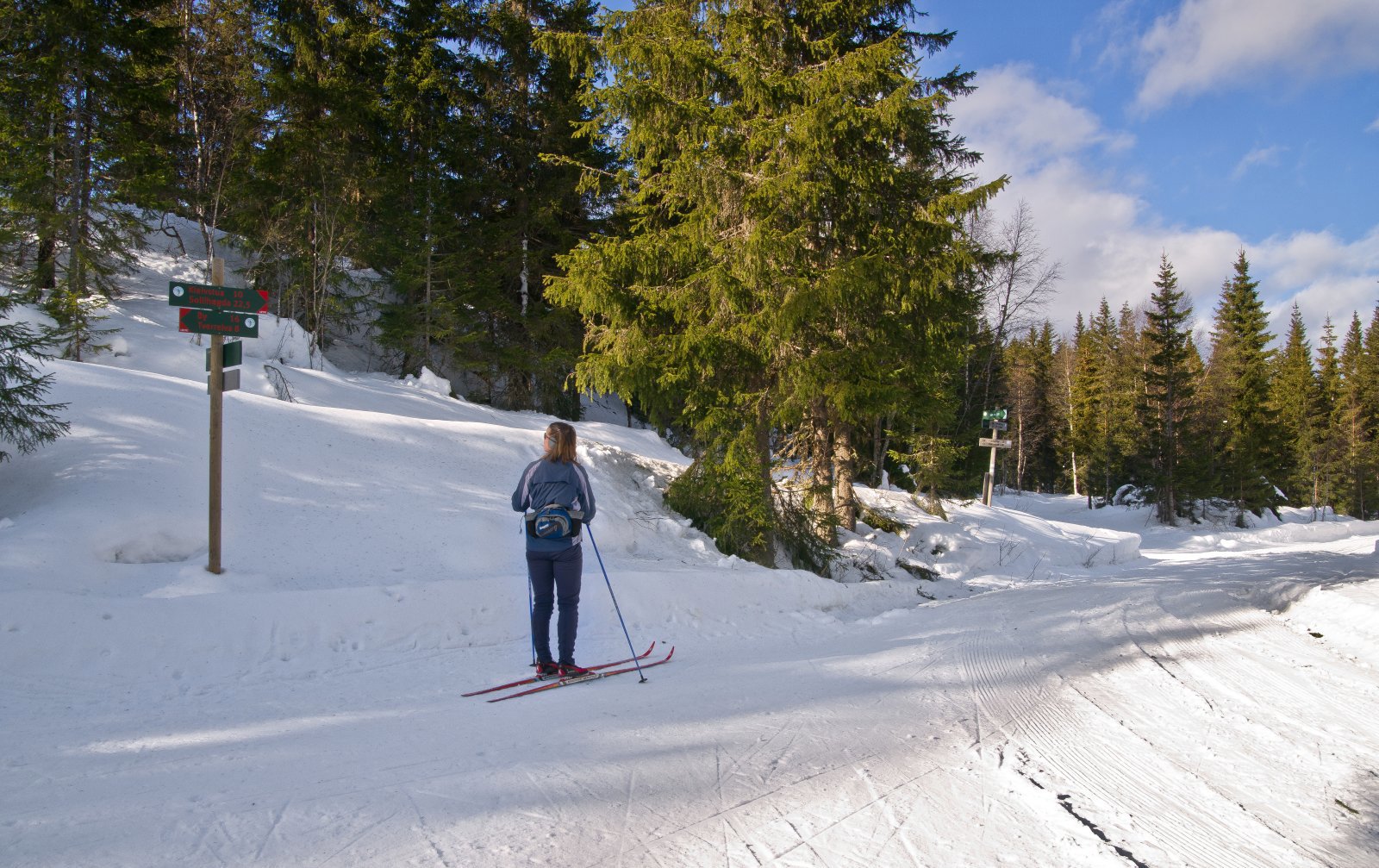 Krysset ved Fjellseterbommen