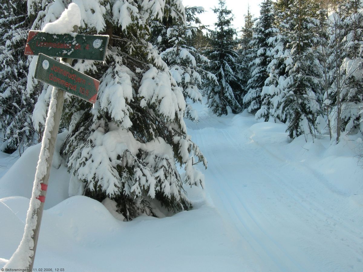 Krysset ved Rognlia ned til Lommedalen