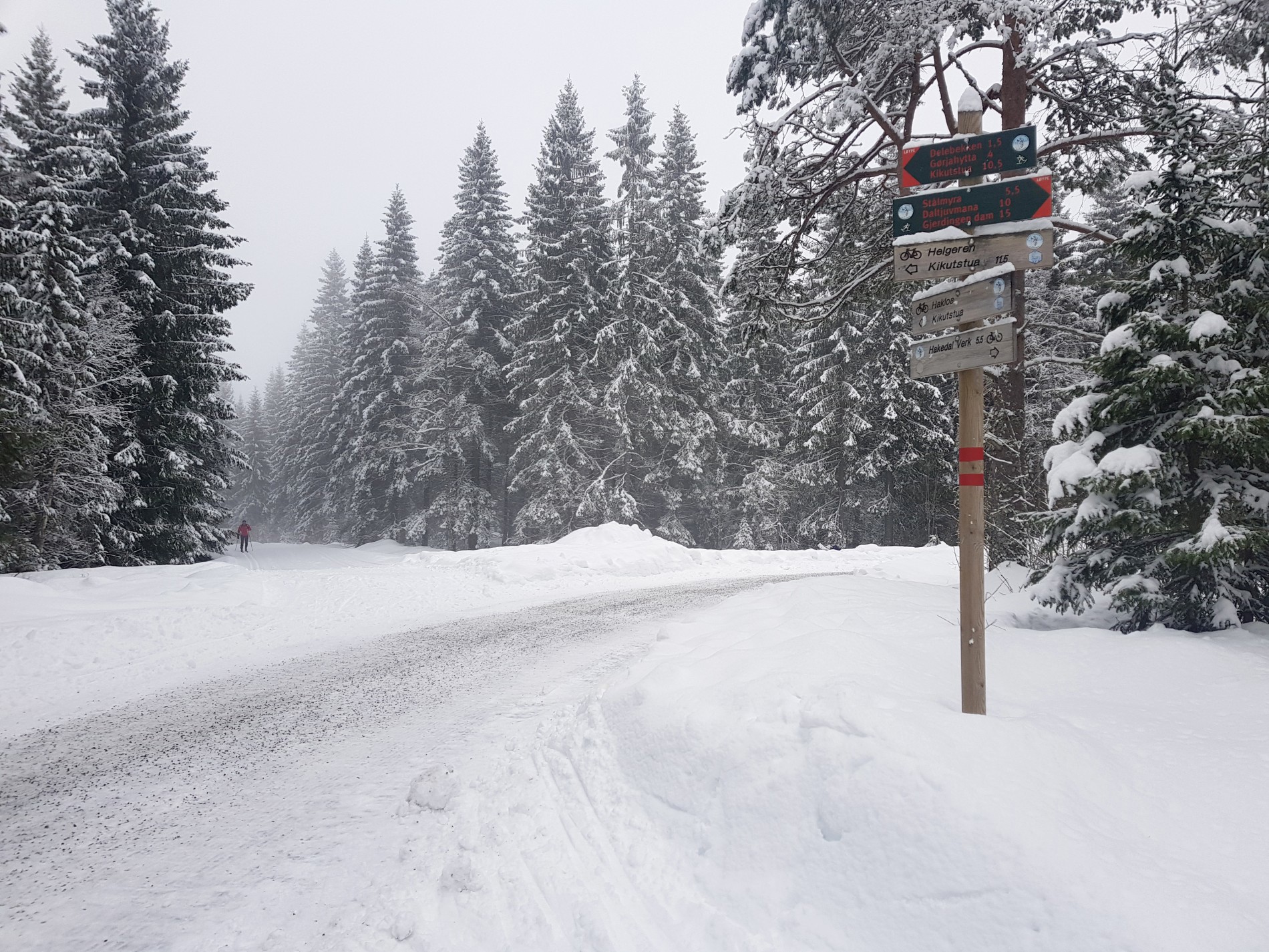 Krysset ved Trehørningen